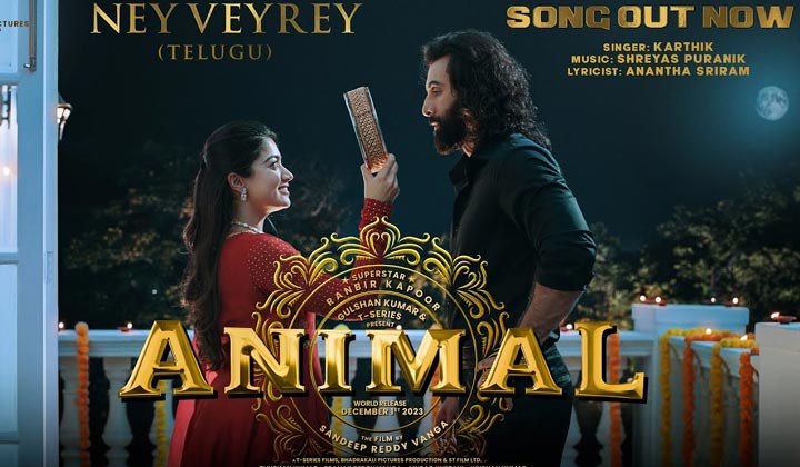 Animal: యానిమల్ వేట.. రష్మిక బలి అయ్యిందా.. ?