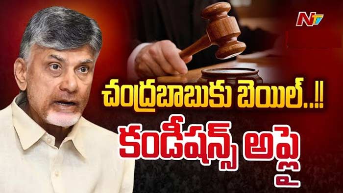 AP High Court: చంద్రబాబుకు మధ్యంతర బెయిల్‌.. కోర్టు విధించిన షరతులు ఇవే..