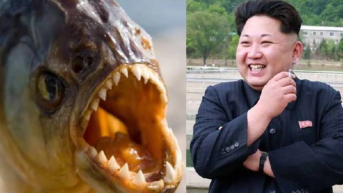 Kim Jong Un: కిమ్ పైశాచికం..  పిరానా చేపలకు ఆహారంగా వేసి జనరల్ హత్య..