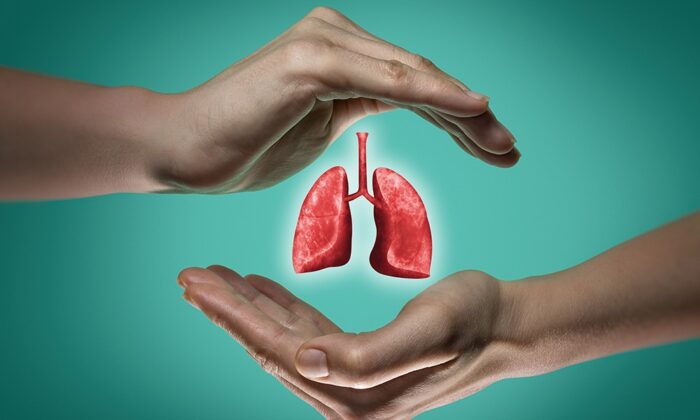 Lungs