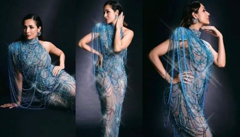 Malaika Arora: వెరైటీ డ్రెస్సులో హాట్ బ్యూటి కిర్రాక్ పోజులు.. మైండ్ బ్లాక్ చేస్తున్న మలైక న్యూ స్టిల్స్ ..