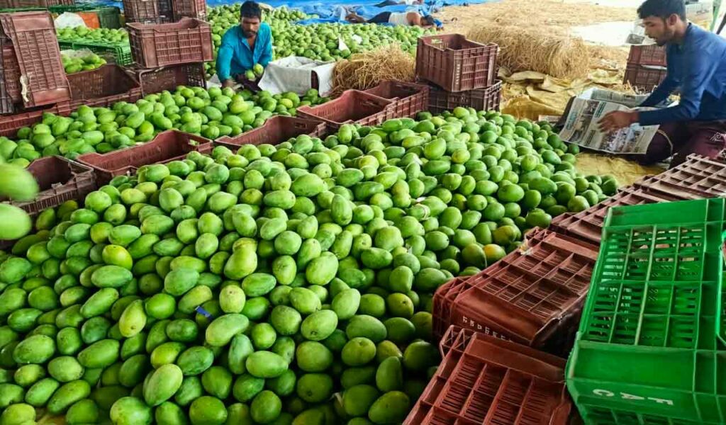 Mango Market