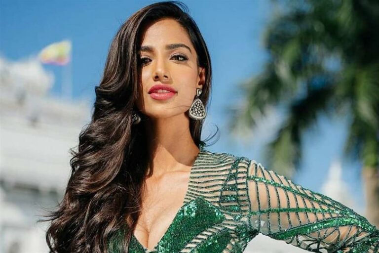 Meenakshi Chaudhary: బంఫర్ ఆఫర్ కొట్టేసిన మీనాక్షి.. ఆ హీరో సినిమాలో ఛాన్స్..