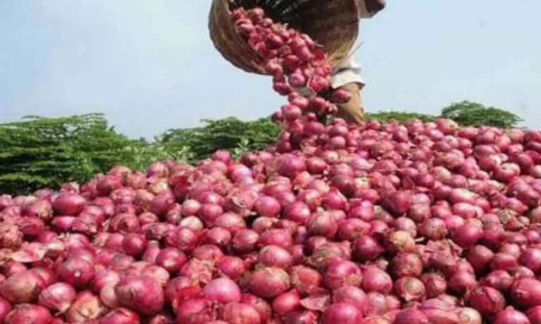Onion Price: దీపావళికి ముందు షాక్ ఇస్తున్న ధరలు.. ఎందుకంటే?