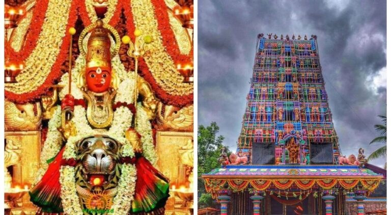 Navaratri : శ్రీ దుర్గాదేవిగా దర్శనం ఇస్తున్న పెద్దమ్మ తల్లి..