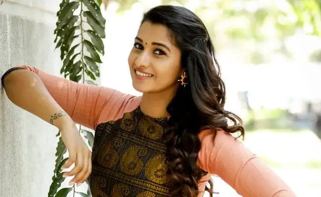 Priya Bhavani Shankar: స్టార్ హీరో సరసన ఛాన్స్ కొట్టేసిన సీరియల్ బ్యూటీ..