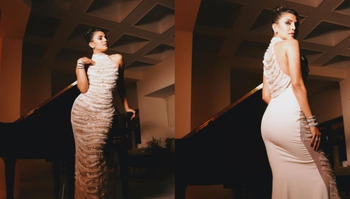 Priyanka Chopra: ప్రియాంక చోప్రా పెట్టుకున్న ఈ వాచ్ ధర ఎన్ని కోట్లో తెలుసా?