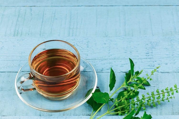 Health Tips : తులసి టీని రోజు ఇలా తాగితే ఎన్ని ప్రయోజనాలు ఉన్నాయో తెలిస్తే అస్సలు వదలరు..