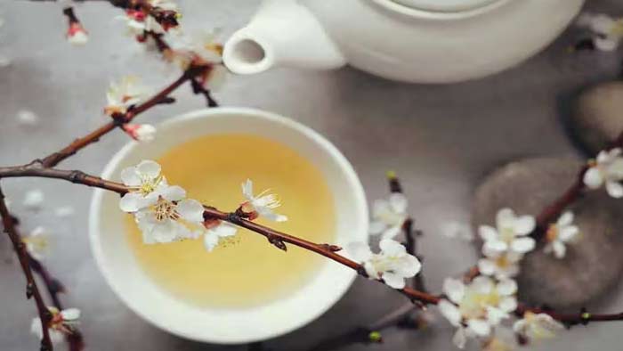 Health Tips: వైట్ టీ తాగడం వలన కలిగే ప్రయోజనాలు ఇవే..!