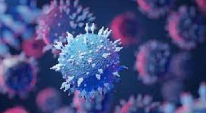 H1N2 Virus : ప్రపంచం ముందు మరో మహమ్మారి.. బ్రిటన్‎లో వెలుగు చూసిన కొత్త వైరస్