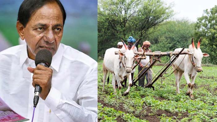 Rythu Runa Mafi: రుణమాఫీ చేయలేకపోతున్నా.. రైతులను ఉద్దేశించి కేసీఆర్ కీలక ప్రకటన