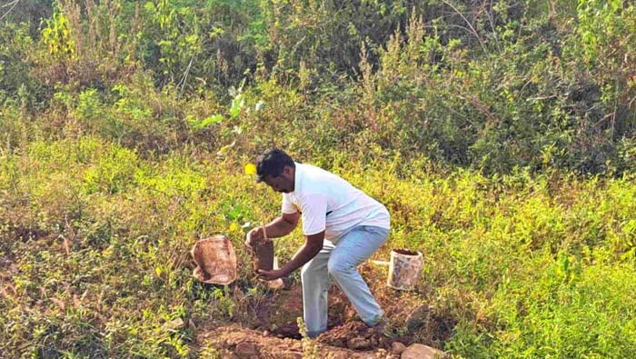 Environmental worship: మొక్కలే తన పిల్లలు.. పర్యావరణమే తన ప్రపంచం..7 ఏళ్లుగా ప్రకృతి ఆరాధనే పని