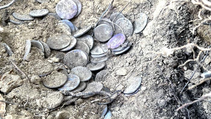 1000 years old treasure: బయటపడ్డ 1000 ఏళ్ల  నాటి నిధి.. ఎక్కడో తెలుసా..?