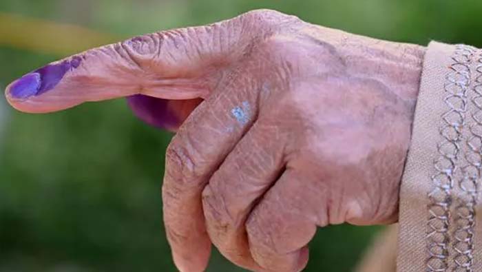 Madhya Pradesh: నిబద్ధతకు హాట్స్ ఆఫ్.. 113 ఏళ్ల వయసులోనూ ఓటేసిన వృద్ధుడు