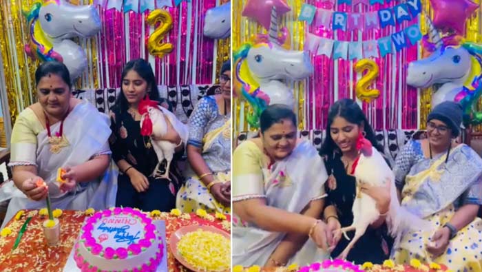 Viral News: మనుషులకే దిక్కులేదు.. కోడికి బర్త్‌ డే వేడుకలేంట్రా నాయనా