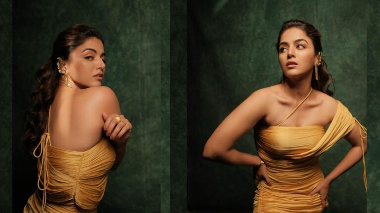 Wamiqa Gabbi: తగ్గేదేలే.. ప్లాప్ హీరోయిన్ ఖాతాలో ఆరు సినిమాలు
