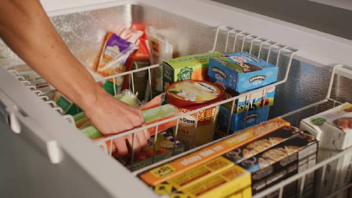 Rajasthan: దాగుడుమూతలు ఆడుతూ.. ఫ్రీజర్‌లో దాక్కుని ఇద్దరు మృతి