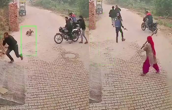 Viral Video: షాకింగ్ వీడియో.. బుల్లెట్ల వర్షం కురిపిస్తున్నా.. దుండగులను ఎలా తరిమికొట్టిందో చూశారా?