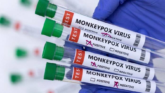 Monkeypox: కాంగోలో మంకీపాక్స్.. లైంగికంగా వ్యాపించిందని డబ్ల్యూహెచ్ఓ నిర్థారణ..