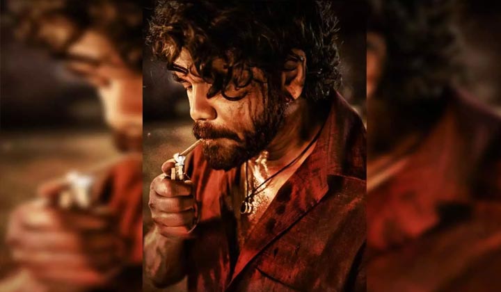 Akkineni Nagarjuna: వస్తున్నాం.. కొడుతున్నాం అనడమేనా.. వచ్చేది ఏమైనా ఉందా.. ?