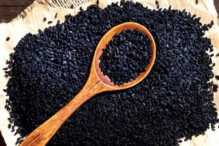 Black Sesame Benefits: నల్ల నువ్వులతో ఎన్ని లాభలున్నాయో తెలుసా?