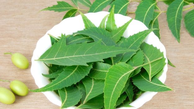 Neem Leaves Uses