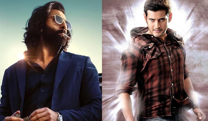 Mahesh Babu: ఎలా వదులుకోవాలనిపించింది బ్రో.. ఆ సినిమాను.. రికార్డ్ బ్రేక్ చేసేవాడివి తెలుసా.. ?