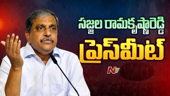 Sajjala Ramakrishna Reddy: అంతర్జాతీయ దొంగల ముఠాలకి ఏమాత్రం తీసిపోని పార్టీ టీడీపీ