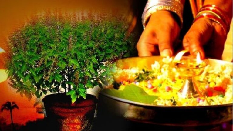 Kartika Masam : కార్తీక మాసంలో తులసి పూజను ఎందుకు చేస్తారో తెలుసా?