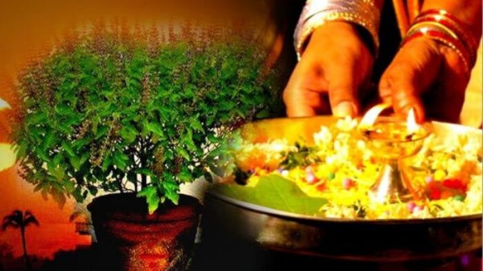 Kartika Masam : కార్తీక మాసంలో తులసి పూజను ఎందుకు చేస్తారో తెలుసా?