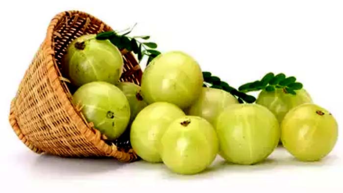 Health Tips : చలికాలంలో ఉసిరికాయలను తింటే ఏమౌతుందో తెలుసా?