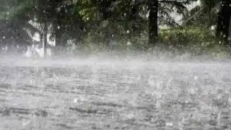 Cyclone Michaung: మిచాంగ్‌ తుఫాన్ బీభత్సం.. గత 24 గంటల్లో 181.5 మిమీ వర్షపాతం!