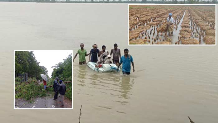 Cyclone Michaung