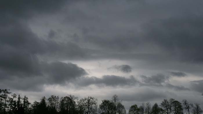 Cyclone Michaung On Telangana