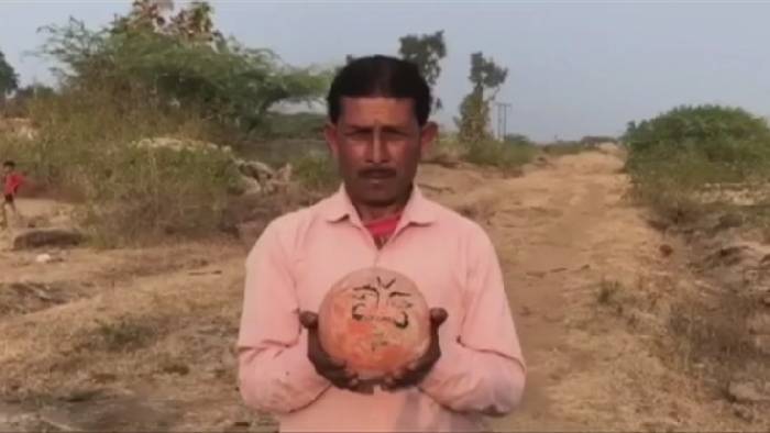 Madhya Pradesh: ఇన్నాళ్లు ప్రజలు పూజించింది రాళ్లను కాదా..?డైనోసార్ గుడ్లనా..?