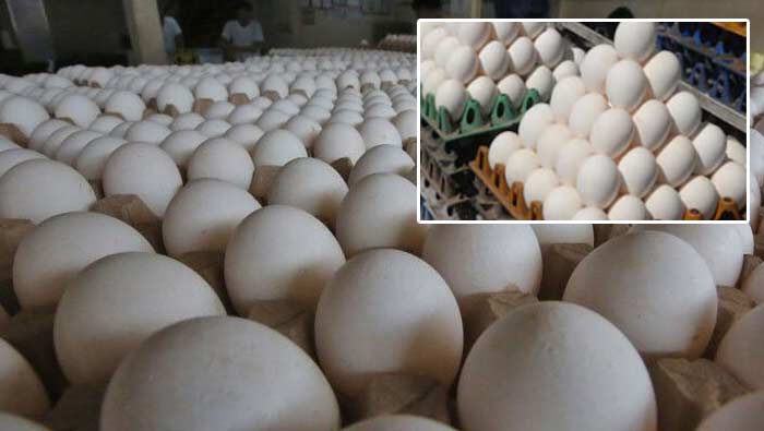 Egg Price: కొండెక్కిన కోడిగుడ్డు ధర.. ఆల్‌టైం హై రికార్డు..