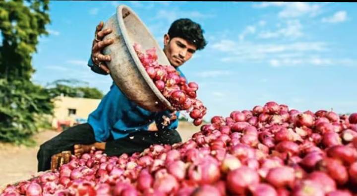 Onion Price : భారీగా పడిపోయిన ఉల్లి ధర.. వినియోగదారులు హ్యాపీ.. రైతుల్లో ఆందోళన