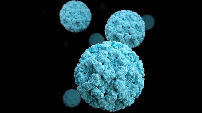 Norovirus: యూకేలో విజృంభిస్తోన్న “నోరోవైరస్” కేసులు.. వ్యాధి లక్షణాలివే..