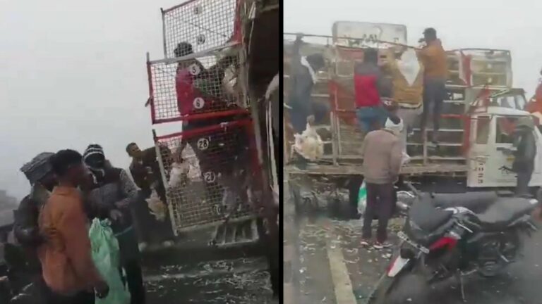 Road Accident: ఆగ్రా ఎక్స్‌ప్రెస్‌వేపై రోడ్డు ప్రమాదం.. డ్రైవర్ ఉండగానే కోళ్ల‌ను ఎత్తుకెళ్లిన జ‌నాలు! వీడియో వైరల్