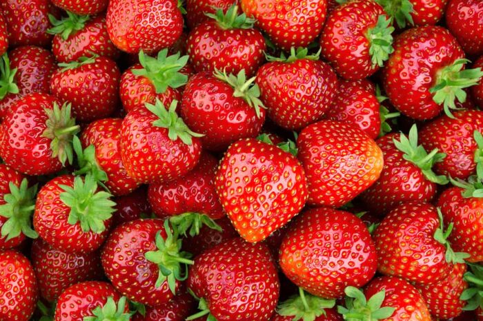 Strawberries Health Benefits : స్ట్రాబెర్రిలను రోజూ ఇలా తీసుకుంటే ఎన్ని లాభాలో..