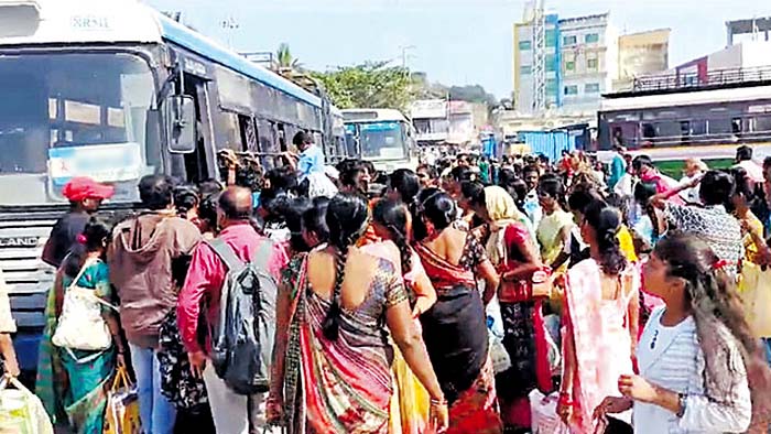 Telangana Bus