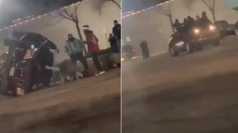 Viral Video: కారుతో స్టంట్‌ చేయబోయి.. స్నేహితుల ప్రాణాలను ప్రమాదంలోకి నెట్టింది!