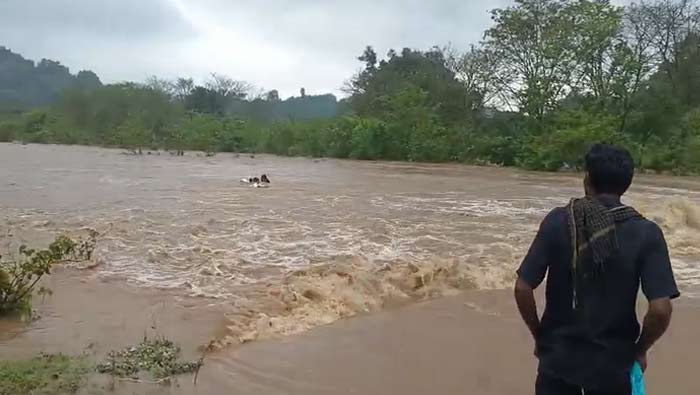 Floods: అల్లూరి సీతారామరాజు జిల్లాలో విషాదం.. వరదలో  కొట్టుకుపోయిన ముగ్గురు గిరిజనులు