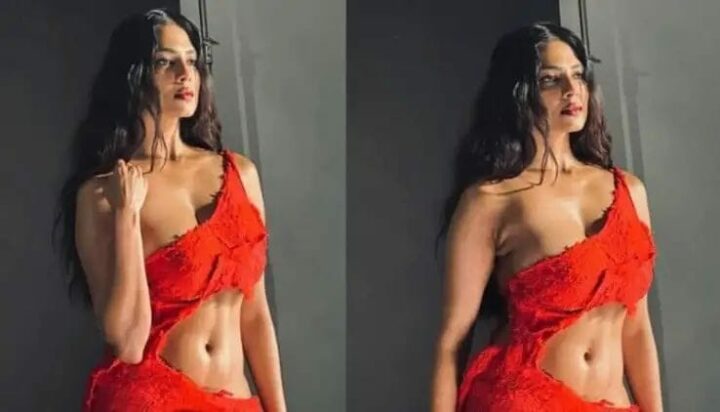 Malavika Mohanan : హాట్ ఫోటోషూట్ తో రెచ్చగొడుతున్న మాళవిక..