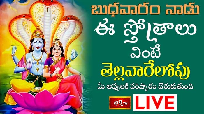 Vishnu Stotram: ఈ స్తోత్రాలు వింటే మీ అప్పులకి పరిష్కారం దొరుకుతుంది