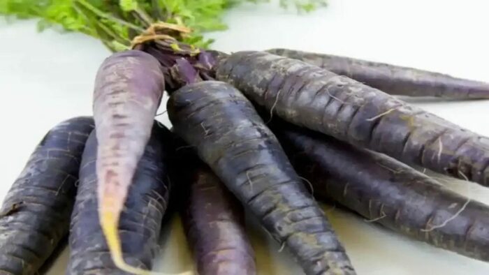 Black Carrots