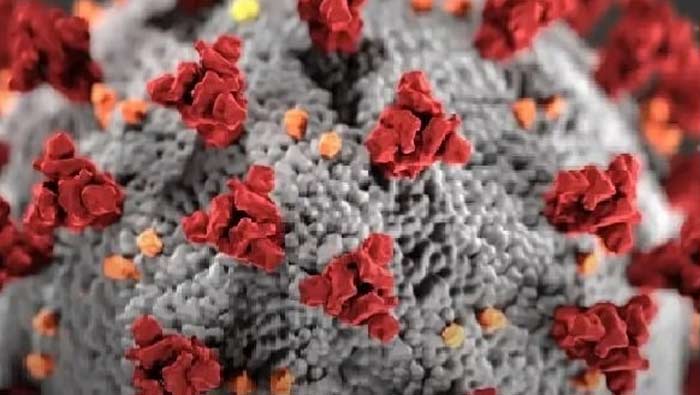 Coronavirus: తెలంగాణలో కరోనా కలకలం.. కొత్తగా 12 పాజిటివ్ కేసులు