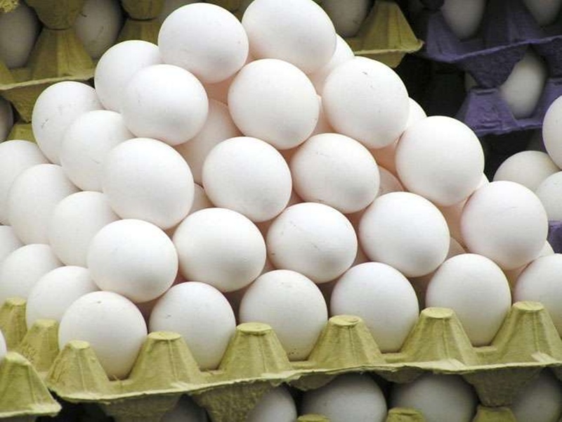 Eggss
