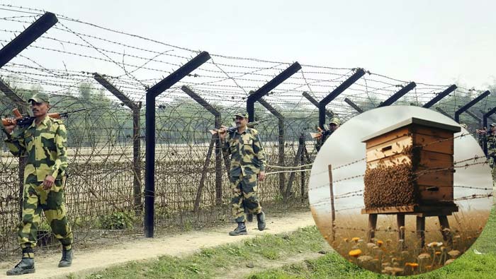 Bee Warriors: భారత-బంగ్లాదేశ్ సరిహద్దు రక్షకులుగా తేనెటీగలు..  పైలట్ ప్రాజెక్ట్‌కు బీఎస్ఎఫ్ శ్రీకారం