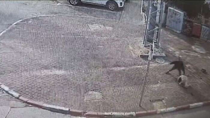 Israel: ఇజ్రాయెల్⁬లో దారుణ ఘటన.. గర్భిణీని కత్తితో పొడిచి చంపిన దుండుగుడు